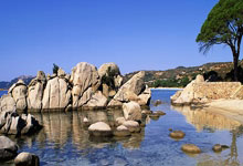 开元棋牌官方网址-马赛大逆转，豪取关键三分